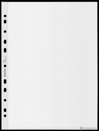 Koszulki Leitz Recycle A4 PP 100 mic. op./100 szt. 47911103