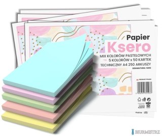 Papier xero A4 mix kolorów 160g (250 arkuszy) 5 kolorów pastelowych