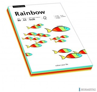 Papier xero kolorowy RAINBOW mix Intensywny 100 ark. 88043188