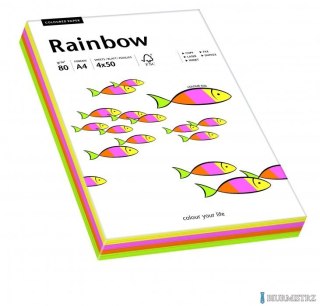 Papier xero kolorowy RAINBOW mix pastelowy 100 ark. 88043187