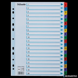 Przekładki kartonowe MYLAR A4 1-20 100163 białe ESSELTE
