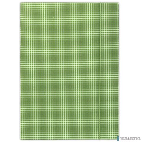 Teczka z gumką w kratę zielona FEP06 (X)