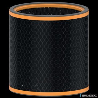 Wymienny węglowy filtr zapachów Leitz TruSens Z-3000 2415126