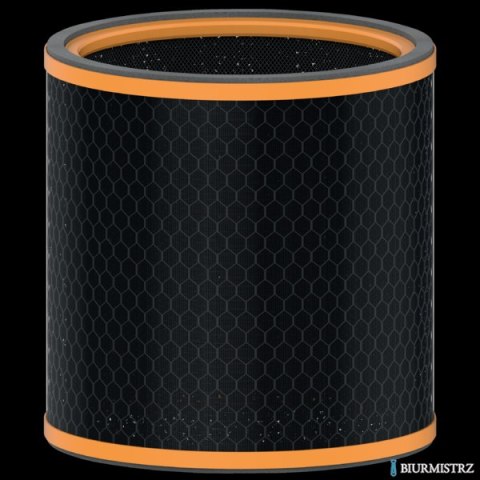 Wymienny węglowy filtr zapachów Leitz TruSens Z-3000 2415126