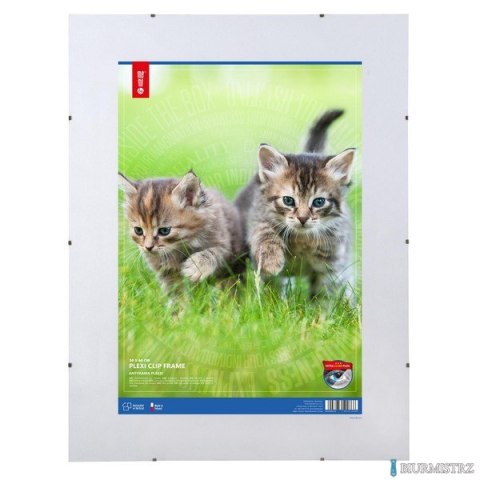 Antyrama plexi 500x600mmm ANP50x60 MEMOBOARDS