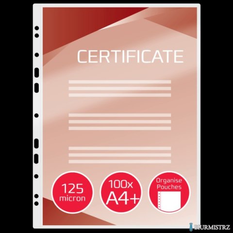 Folia do laminacji GBC A4+ z perforacją 125 mikr (100szt) 3743156