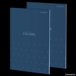 Notatnik TOPCOLORS KLE A6 100K 70G kratka niebieski 400169238 Top 2000