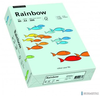 Papier xero kolorowy RAINBOW jasnoniebieski R82 88042695