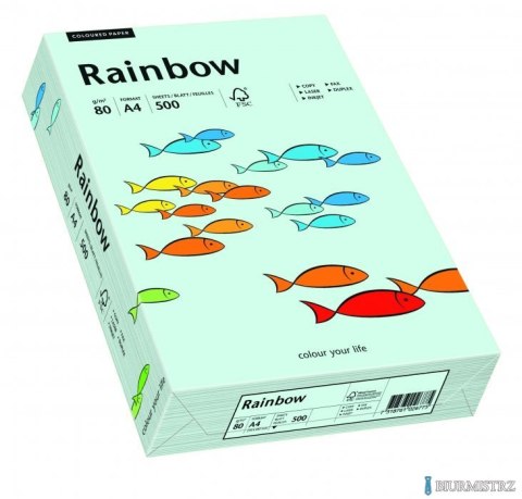 Papier xero kolorowy RAINBOW jasnoniebieski R82 88042695