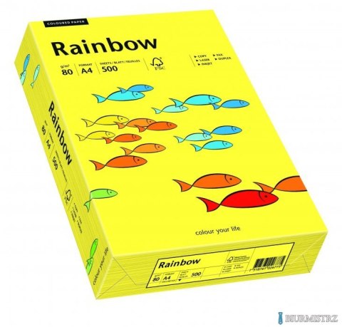 Papier xero kolorowy RAINBOW słonecznożółty 80g R14 88042319