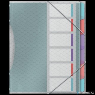 Teczka segregująca Esselte ColourBreeze, z 6przekładkami 626255