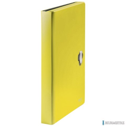 Teczka z przegródkami Leitz Recycle A4 PP, żół 46240015