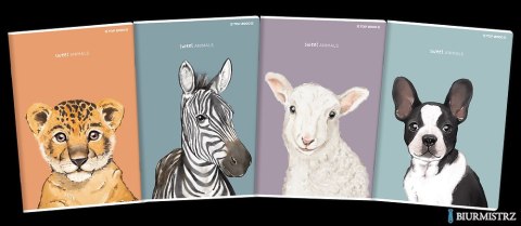 Zeszyt do słówek TOP ANIMAL A6 16K 70G kratka 400169484 Top 2000