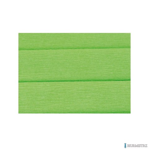 Bibuła marszczona Creatinio 50x200 jasny zielony 400153920 TOP-2000