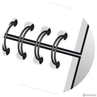 Kołonotatnik A4 80 kartek, kratka / tagi, STUDENT EASYNOTES, OXFORD, 400019526