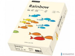 Papier xero kolorowy A4 160g kremowy R03 (250 arkuszy) RAINBOW 88042257