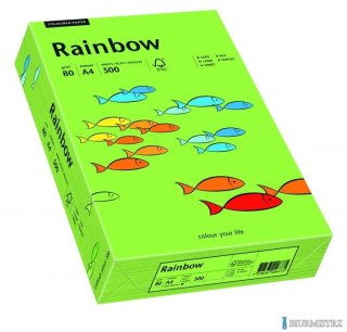 Papier xero kolorowy RAINBOW zielony R76 88042651