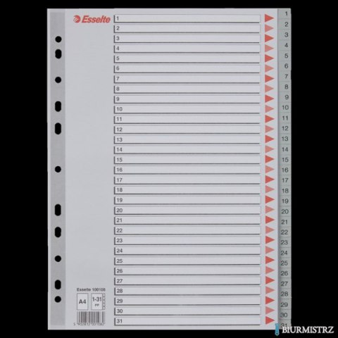 Przekładki plastikowe szare PP A4 1-31 100108 numeryczne ESSELTE