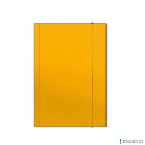 Teczka z gumką A4 PLUS pomar. TADEO TT6590
