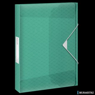Teczka z gumką Esselte ColourBreeze, 25 mm, zielony 626260