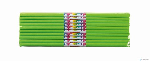 Bibuła marszczona 50x200cm, jasnozielony, 10 szt., HAPPY COLOR, HA 5020-51