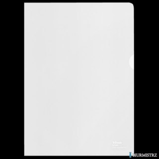 Folder groszkowy Recycled Premium PP 100 mic. A4, w kartonie, 627496 op.100 szt.