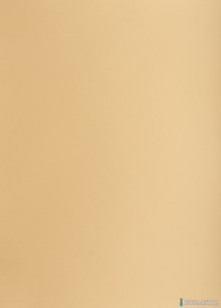 Karton kolorowy Creatinio B2 225g 25ark nr.16 jasnobrązowy 400150327 TOP-2000