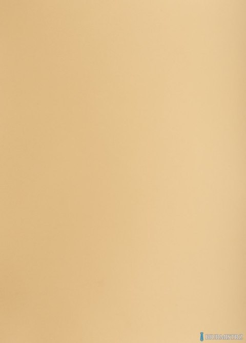 Karton kolorowy Creatinio B2 225g 25ark nr.16 jasnobrązowy 400150327 TOP-2000