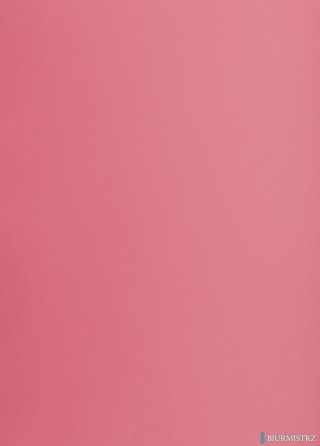 Karton kolorowy Oxford B2 225g 25ark nr.22 różowy 400150329 TOP-2000