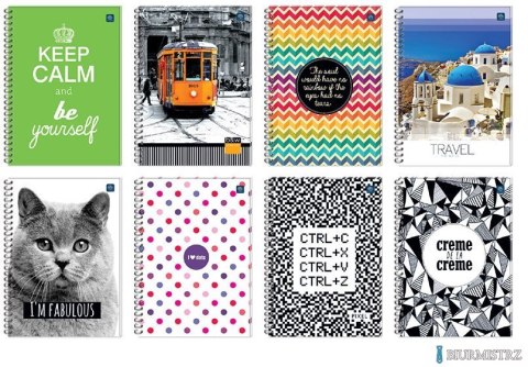 Kołobrulion B5 160k kratka z kolorowymi marginesami mix INTERDRUK