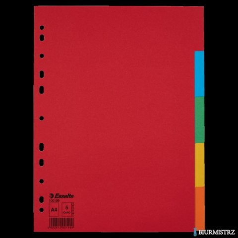 Przekładki karton A4 5 kart ESSELTE 100199 kolorowe bez karty opisowej
