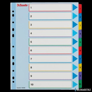 Przekładki kartonowe MYLAR A4 MAXI 1-10 ESSELTE 100208