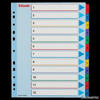 Przekładki kartonowe MYLAR A4 MAXI 1-12 ESSELTE 100209