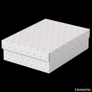 Pudełka domowe do przechowywania, płaskie, rozmiar M, 3 sztuki, białe Esselte 628284