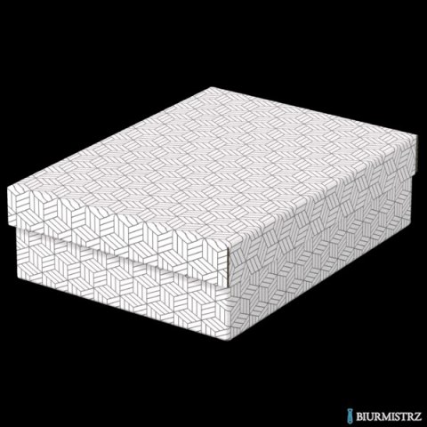 Pudełka domowe do przechowywania, płaskie, rozmiar M, 3 sztuki, białe Esselte 628284