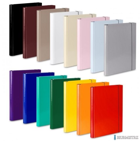 Teczka skrzydłowa z gumką czarna VAUPE, 310/02