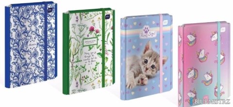 Teczka z gumką twarda oprawa A4+ GIRLS INTERDRUK