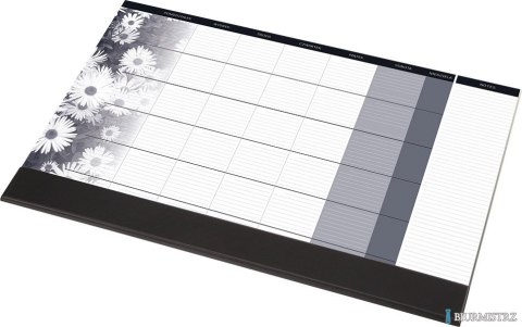 BIUWAR z listwą miesięczny 0318-0008-99 PANTA PLAST 407x330mm 2026/2027r.