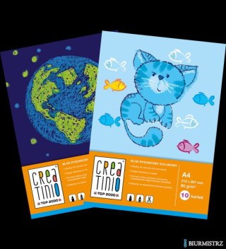 Blok do malowania Top 2000 Creatinio A3 20 kartek 120 g 400176687