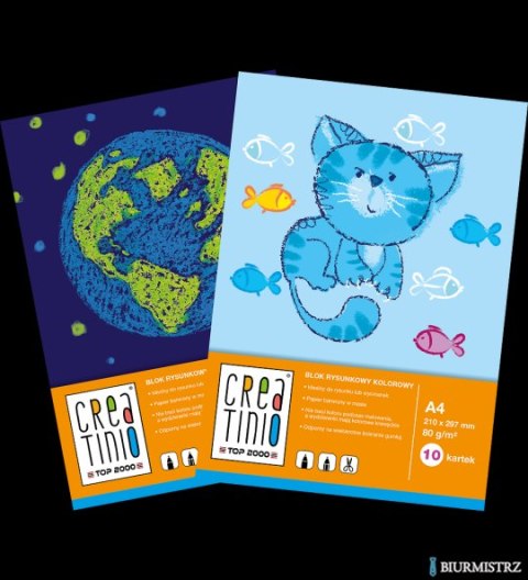 Blok do malowania Top 2000 Creatinio A3 20 kartek 120 g 400176687
