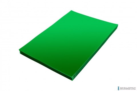 Folia do bindowania A4 DOTTS przezroczysta zielona 0.20 mm opakowanie 100 szt.