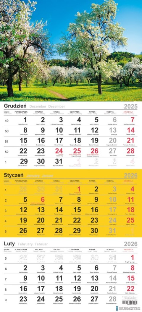 Kalendarz trójdzielny (H) 2026 Michalczyk i Prokop T-106T-02