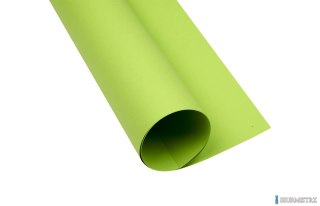 Karton kolorowy A3 160g 25ark jasnozielony 400150240 OXFORD