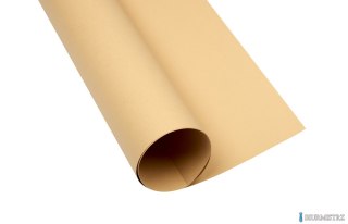 Karton kolorowy Creatinio A1 160g 25ark nr.16 jasnobrązowy 400149527 TOP-2000
