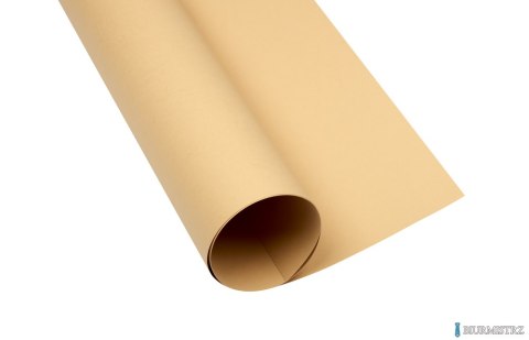 Karton kolorowy Creatinio A1 160g 25ark nr.16 jasnobrązowy 400149527 TOP-2000