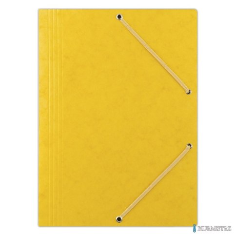 Teczka pre.z g.A4 żółt.8643080 -11 DONAU (X)