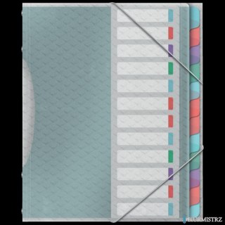 Teczka segregująca Esselte ColourBreeze, z 12 przekładkami 626256