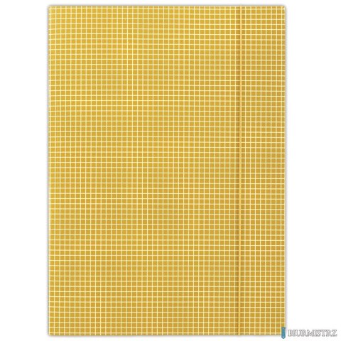 Teczka z gumką w kratkę pomarańczowa DONAU FEP12 kratka