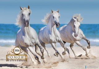 Terminarz Domowy 200x218mm 2026 - Konie Michalczyk i Prokop TW-10-6 KALENDARZ jednodzielny 200x285mm