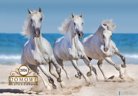 Terminarz Domowy 200x218mm 2026 - Konie Michalczyk i Prokop TW-10-6 KALENDARZ jednodzielny 200x285mm